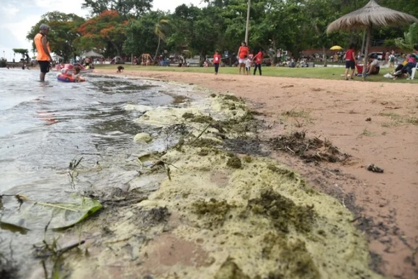 'El lago Ypacaraí no está tan feo; si había peces muertos hubiésemos hablado de otra cosa'