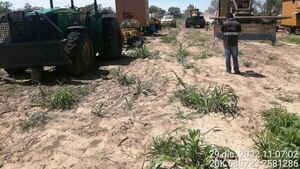 IPS denuncia invasión y desmonte ilegal de unas 5.000 hectáreas