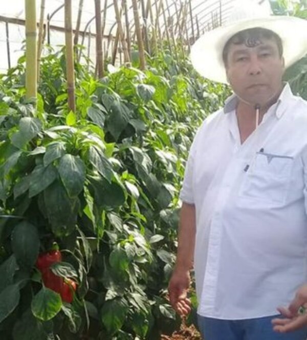 Exitosa experiencia de la Central de Productores Hortigranjeros Feriantes del Alto Paraná - Noticde.com