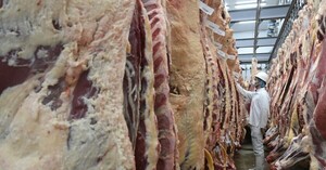 Promedio del Índice de Precios de la Carne de la FAO fue 10,4% superior en 2022