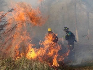 Bomberos instan a evitar quema de pastizales