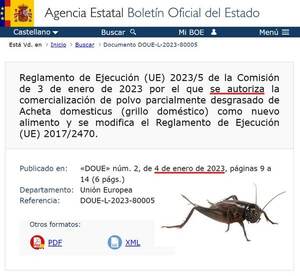 La UE autorizó el polvo de "grillo doméstico" como nuevo alimento - Informatepy.com