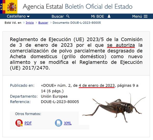 La UE autorizó el polvo de "grillo doméstico" como nuevo alimento - Informatepy.com