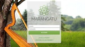 Sistema Marangatu presenta fallas en las presentaciones que los usuarios "deben" asumir