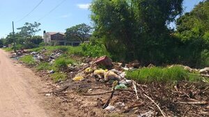 Desde la próxima semana la Municipalidad de Luque aplicará millonarias multas a dueños de baldíos  - Nacionales - ABC Color