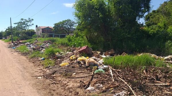 Desde la próxima semana la Municipalidad de Luque aplicará millonarias multas a dueños de baldíos  - Nacionales - ABC Color