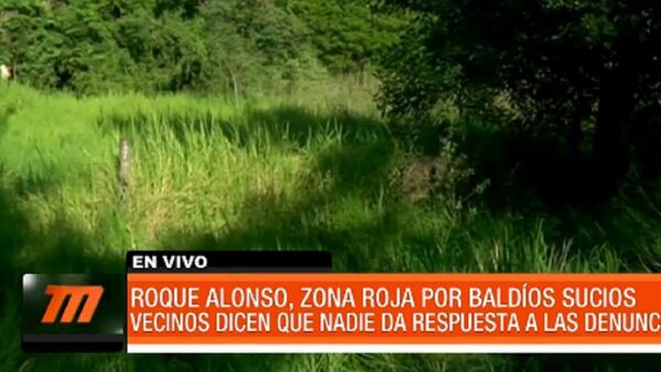 Chikungunya: se disparan casos en Mariano Roque Alonso