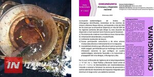  DOS CASOS POSITIVOS DE CHIKUNGUNYA EN EL DEPARTAMENTO DE ITAPÚA  - Itapúa Noticias