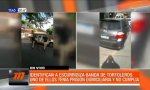 Policía identifica a escurridiza banda de tortoleros - Paraguaype.com