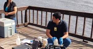La Nación / Playas del lago Ypacaraí no son aptas para el baño