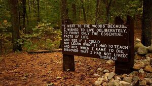 El bosque- Thoreau, parte 3 - El Trueno