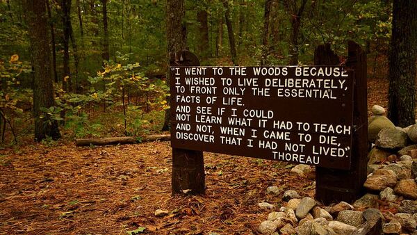 El bosque- Thoreau, parte 3 - El Trueno