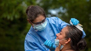 Diario HOY | Desarrollan un test que podría ayudar a encontrar nuevos virus