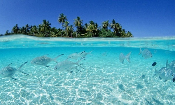 Conozca la isla “La Tortuga” | Telefuturo