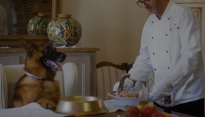 Gunther’s Millions: el documental de Netflix del perro más rico del mundo