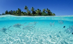 Conozca la isla “La Tortuga” - Paraguaype.com