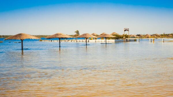 Laguna Blanca: Ataque de pirañas genera preocupación