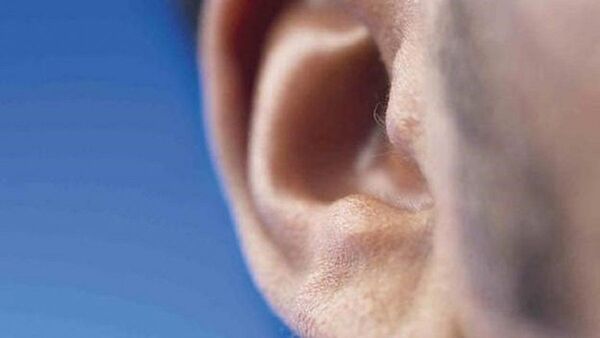 Lo detienen por arrancar la oreja de su amigo de un mordisco