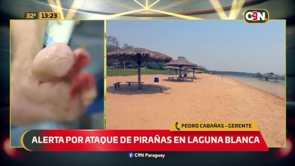 Laguna Blanca: Alerta por ataques de pirañas - C9N