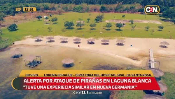 ¿Qué hacer ante un ataque de pirañas? - C9N