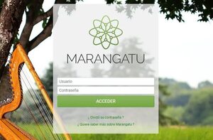 Contadores cuestionan cobro de multas por fallas del sistema Marangatu de la SET - Economía - ABC Color