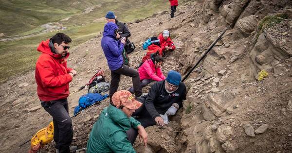 La Nación / Hallan cuatro tipos de dinosaurios en la Patagonia chilena