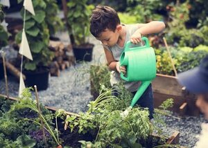 Quienes cultivan huertos tienen menos riesgo de cáncer y mejor salud mental - Ciencia - ABC Color