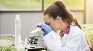 Este viernes 13 cobrarán los investigadores PRONII
