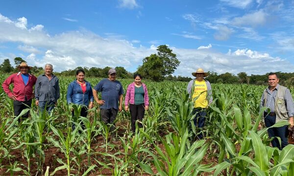 Productores valoran habilitación de nuevas parcelas para cultivos con el apoyo de ITAIPU – Diario TNPRESS