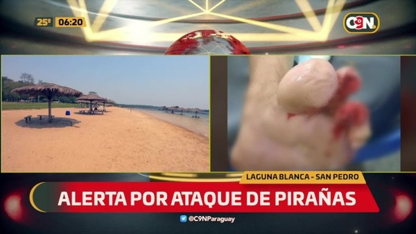 Alerta por ataque de pirañas - C9N
