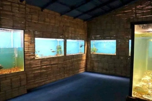 Pira Renda: el primer acuario turístico en San Cosme y Damián