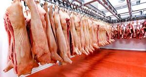 La Nación / Exportación de carne porcina cayó un 35% en el 2022