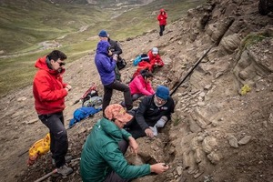 Hallan fósiles de cuatro tipos de dinosaurios en la Patagonia chilena