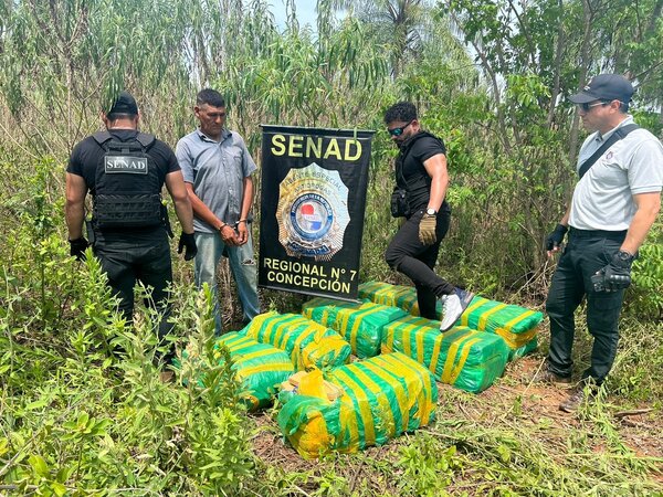 Hallan 238 kilos de marihuana en una fosa en Concepción - trece