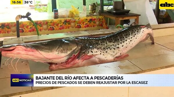 Bajante del río afecta a pescaderías - ABC Noticias - ABC Color