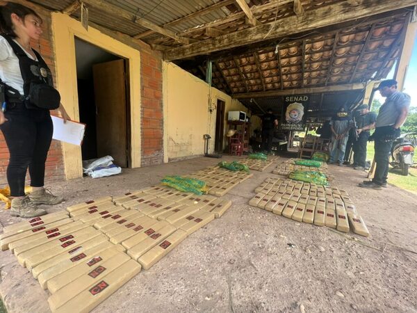 Vivienda era utilizada como “deposito” de 238 kilos de marihuana