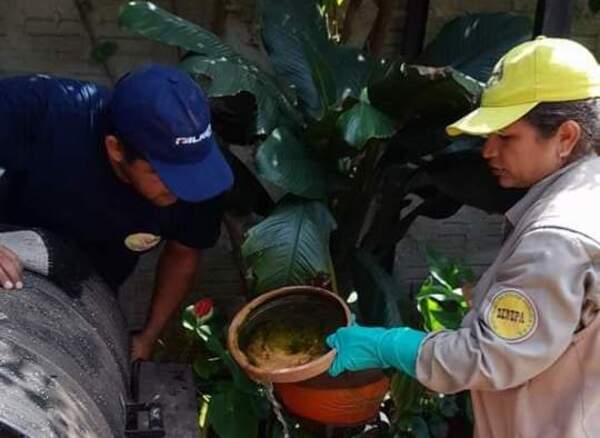 Diario HOY | Reportan más de 1.200 casos de chikungunya en las últimas tres semanas