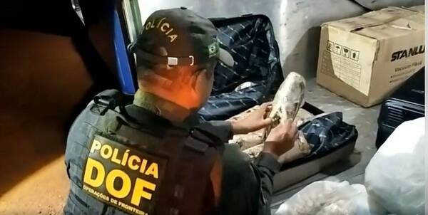 Paraguaya en Brasil: iba en bus con ¡10 kilos de marihuana!
