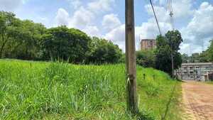 Dueños de terrenos sucios y con malezas se exponen a elevadas multas - La Clave