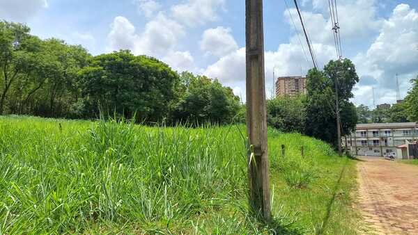 Dueños de terrenos sucios y con malezas se exponen a elevadas multas - La Clave