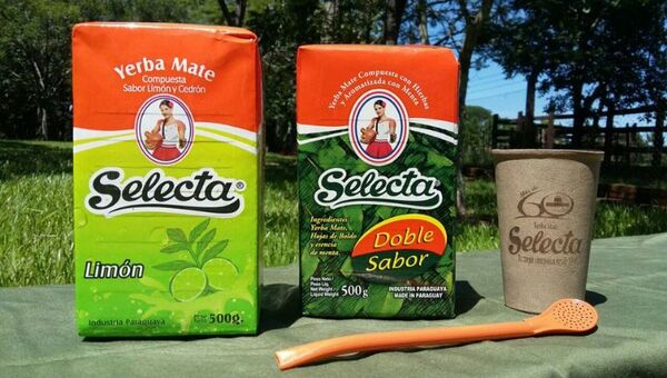 Selecta registró crecimiento de 10% en ventas: ahora quiere conquistar nuevos mercados con novedosas presentaciones