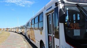 Licitarán la prestación del servicio de transporte público de pasajeros en el Área Metropolitana