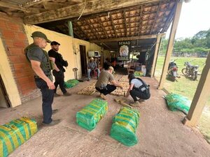 Senad detecta más de 200 kilos de marihuana ocultos en predio rural de Concepción