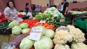 No hay mandioca y tampoco un programa de Gobierno para recuperar la producción