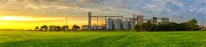 Mal año agrícola causó déficit comercial de USD 1.300 millones en el 2022 - MarketData
