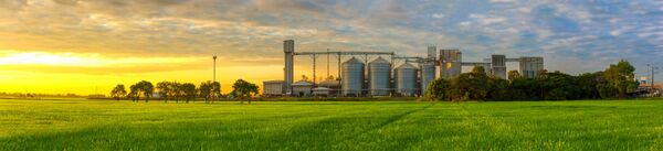 Mal año agrícola causó déficit comercial de USD 1.300 millones en el 2022 - MarketData