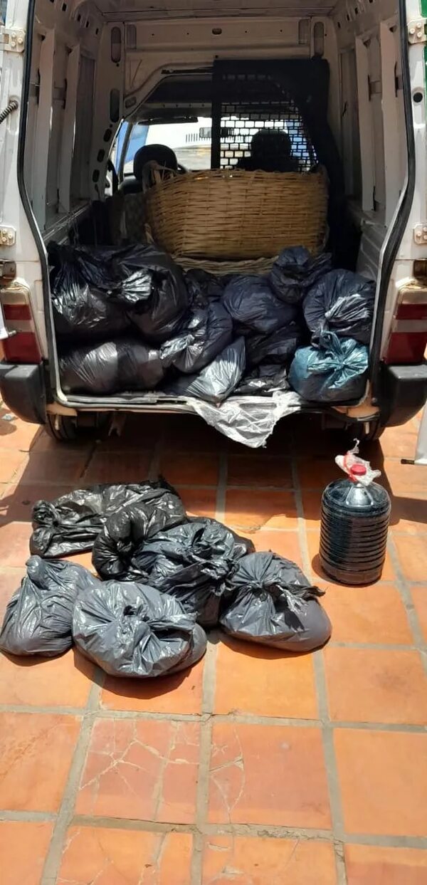 Incautan más de 200 kilos de carne presuntamente de contrabando - Policiales - ABC Color