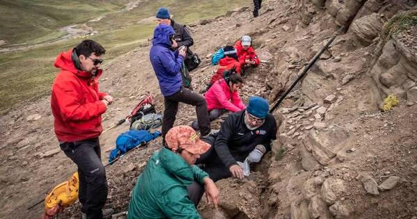 La Nación / Hallan cuatro tipos de dinosaurios