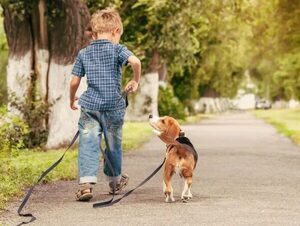 Lanzan campaña ante aumento de maltrato animal protagonizado por niños · Radio Monumental 1080 AM