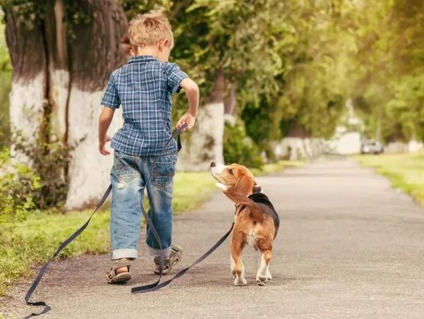 Lanzan campaña ante aumento de maltrato animal protagonizado por niños · Radio Monumental 1080 AM